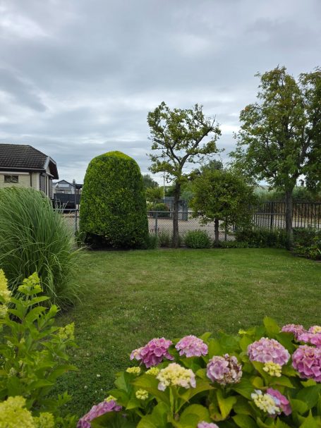 Tuinman snoeit connifeer in vorm in Roosendaal