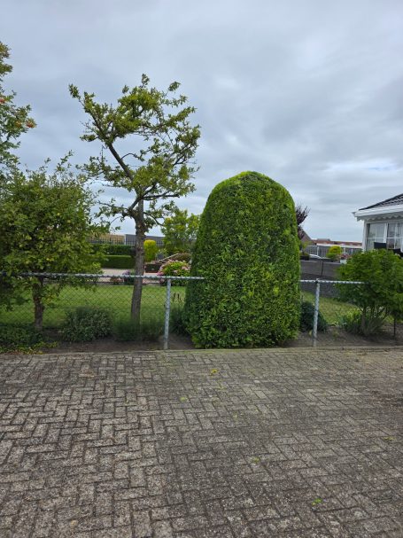 Onderhoud van hagen en struiken in Wouw en Roosendaal