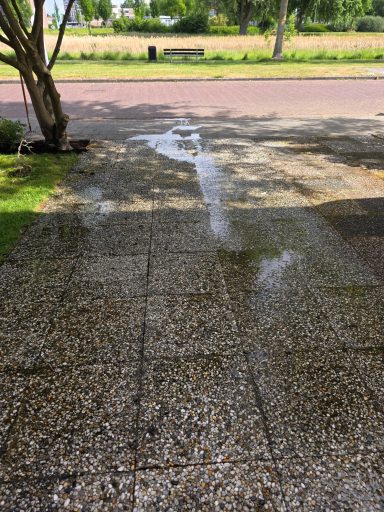 Gladheidsbestreiding Bergen op Zoom