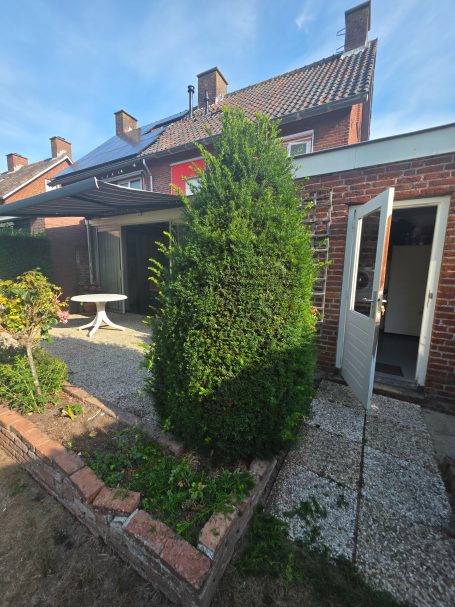 Tuinman in Bergen op Zoom Snoeit taxus in vorm