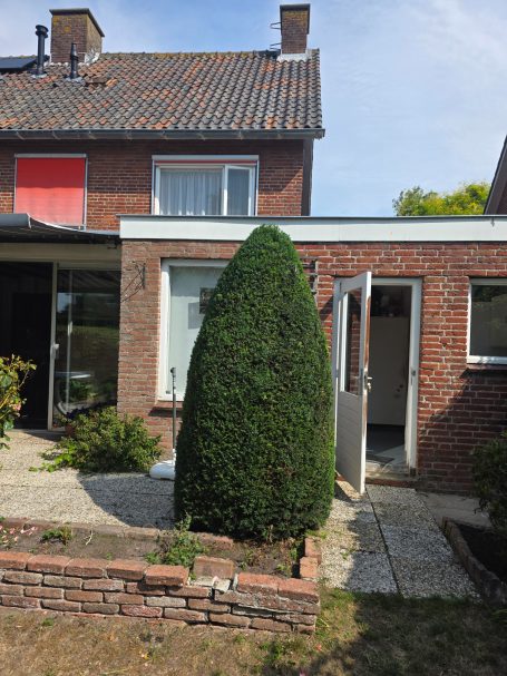 Hovenier in omgeving Bergen op Zoom Snoeit taxus