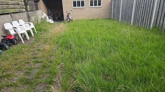 Hovenier verwijderen onkruid tussen bestrating van achtertuin in Bergen op Zoom