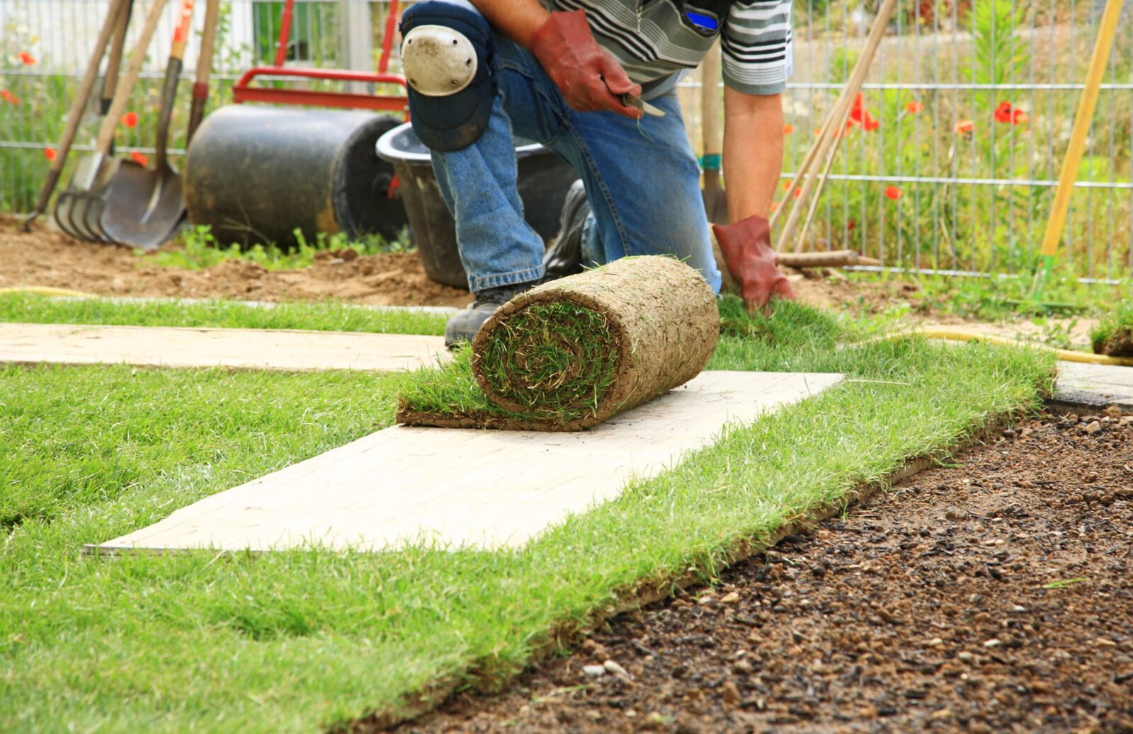 Over ons - GreenVibes Landscape