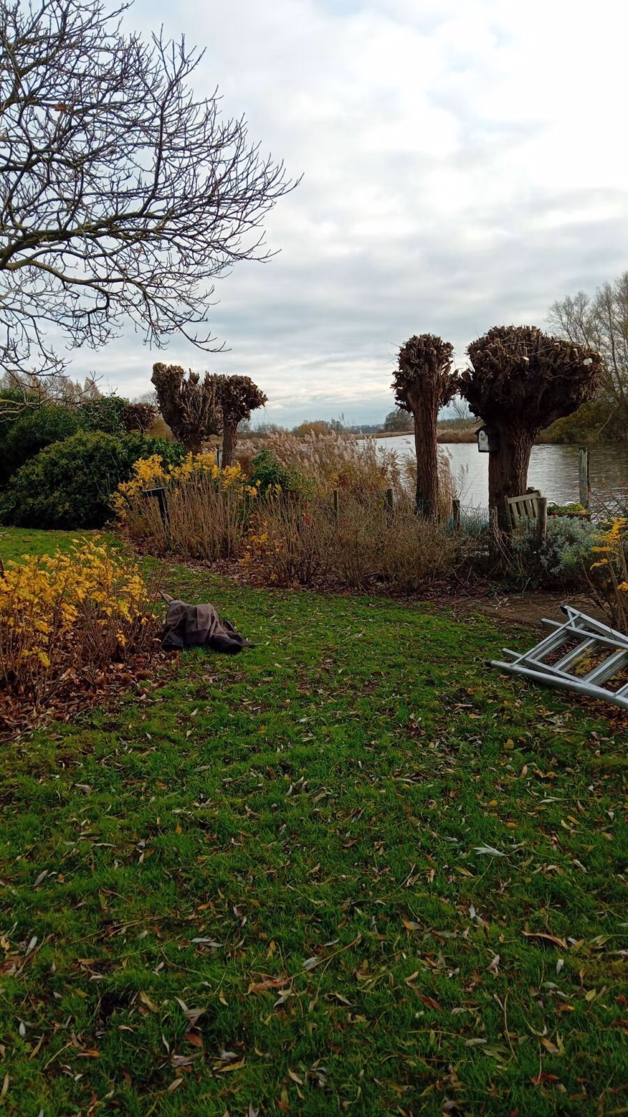 Bomen knotten in Kladde door GreenVibes Landscape